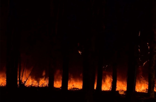 21.800 hectáreas afectadas dejaron los incendios más grandes de la historia de Uruguay Latinoamérica