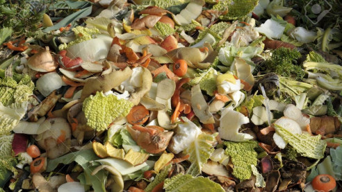 Impensable: 34 % de los alimentos producidos en América Latina va a parar en la basura Alimentación