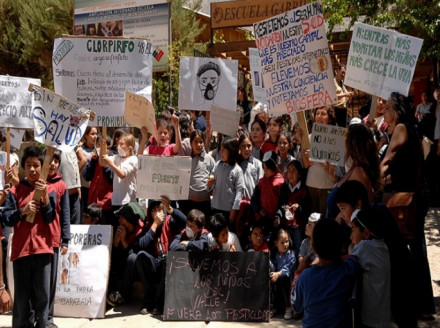 Celebran prohibición de nocivos plaguicidas en Chile y demandan su sustitución con prácticas agroecológicas Actualidad