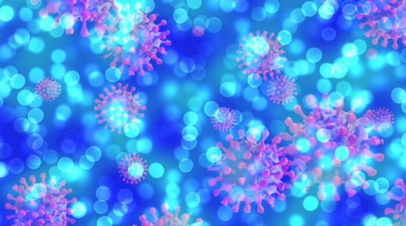 Descubren tres nuevos coronavirus parecidos al causante del COVID-19 en murciélagos de Laos Salud