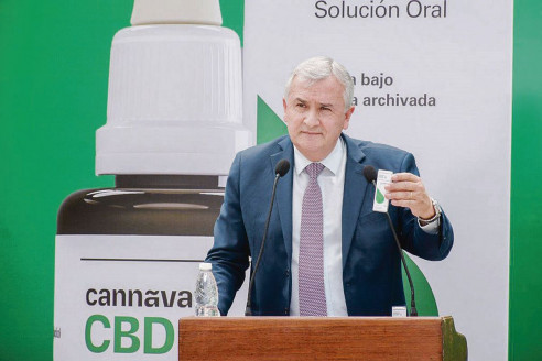 En Argentina comienzan terapia con aceite de cannabis medicinal Latinoamérica