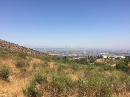 (Video) Amenazan con golpes a visitantes que registran destrucción de especies y ecosistema del Bosque Nativo Panul Medio Ambiente