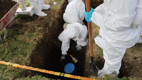 CIDH exige una investigación 