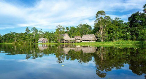 Detectan altos niveles de plomo en sangre de indígenas de la Amazonía peruana Latinoamérica