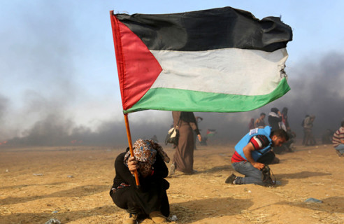 Partió la semana contra el apartheid israelí en Latinoamérica Derechos Humanos