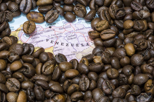 Frijoles, galletas y café verde exportan a once países desde el interior de Venezuela Actualidad