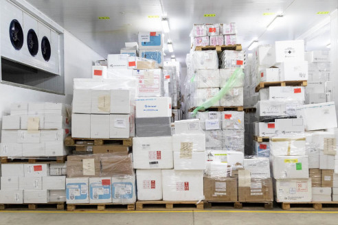 Hallan millones de dosis de vacunas vencidas que no entregó el Gobierno de Macri Latinoamérica