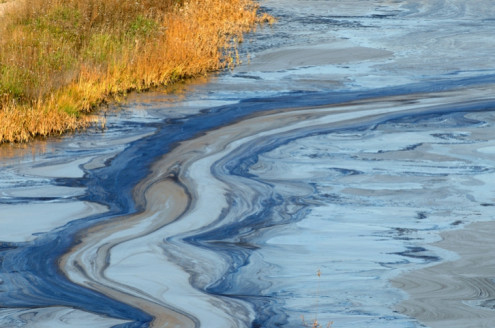 UE endurecerá controles sobre contaminantes y productos químicos Actualidad