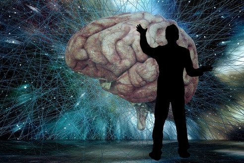 Descubren que el cerebro puede permanecer activo durante la transición a la muerte Salud