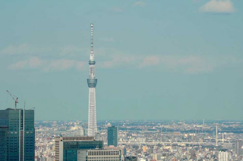Japón estudia con interés la cepa Ómicron XE presente en el país Salud
