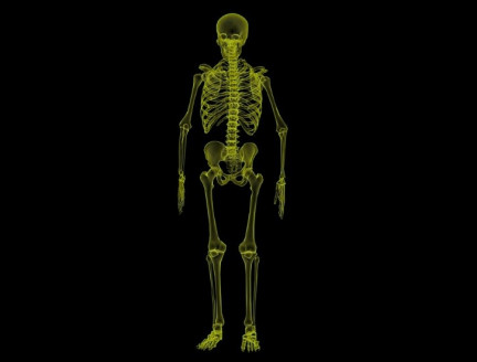 Descubren y describen detalladamente una nueva parte del cuerpo humano Salud