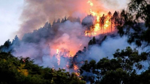 Brasil rechazará los 20 millones de dólares propuestos por el G7 para combatir los incendios en la Amazonía Latinoamérica
