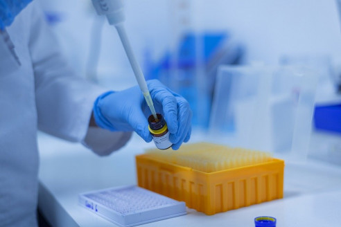 Modifican virus para que actúe