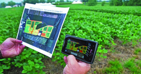 En Colombia agricultores crearon plataforma para realizar sus ventas de manera digital Latinoamérica