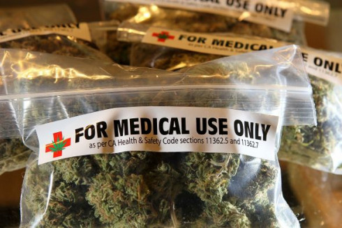 20 estudios médicos que muestran que el cannabis puede combatir el cáncer Salud