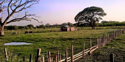 Conmoción en Colombia: nueva masacre deja cinco muertos en Arauca Latinoamérica