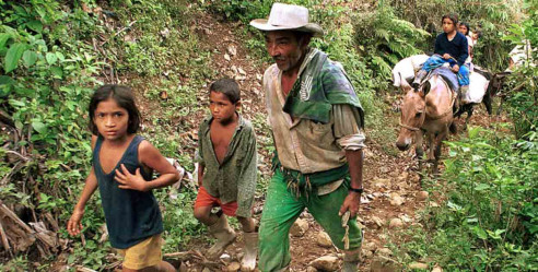 (Video) Policía colombiano se niega a desalojar a campesinos del Cauca Colombia