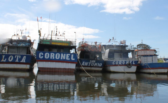 Cómo el asbesto afectó y sigue afectando la salud de habitantes, aguas y recursos marinos de Coronel: Los testimonios ante la comisión investigadora Chile