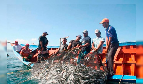 Van 902 financiamientos que ha entregado Fonpesca en noviembre Venezuela
