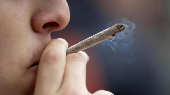 Consumo de cannabis no está directamente relacionado con ser perezoso Salud