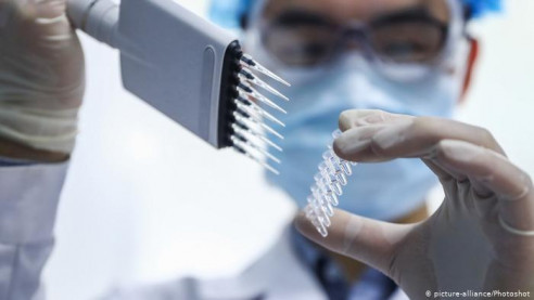 El suero equino es la nueva esperanza argentina contra el coronavirus: hay 242 pacientes voluntarios Latinoamérica