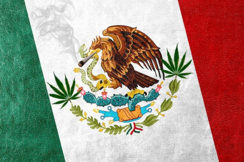 La marihuana es legal en México: así lo aprobó el Senado Latinoamérica