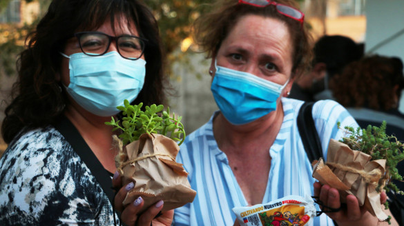 Recoleta: Vecinas conocieron el funcionamiento de los huertos medicinales en los centros de salud comunal Chile
