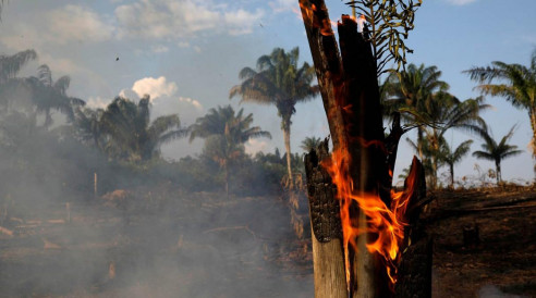 ¿Quién provocó un infierno en la Amazonía? Estos son los principales responsables Política