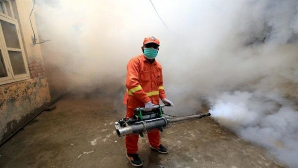 Ministerio de Salud panameño da un reporte con 3.372 casos de malaria Salud
