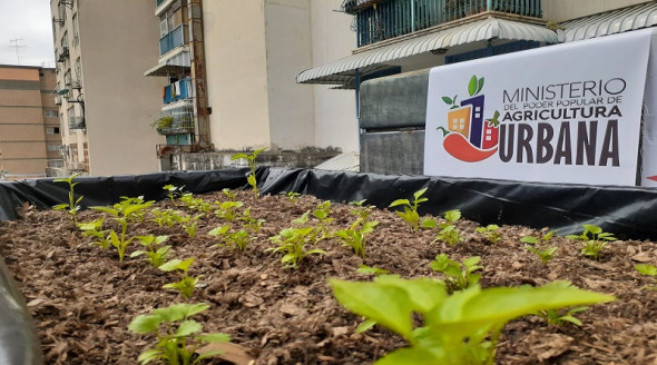 INTU orientó a la comunidad sobre regularización de títulos de tierra Venezuela