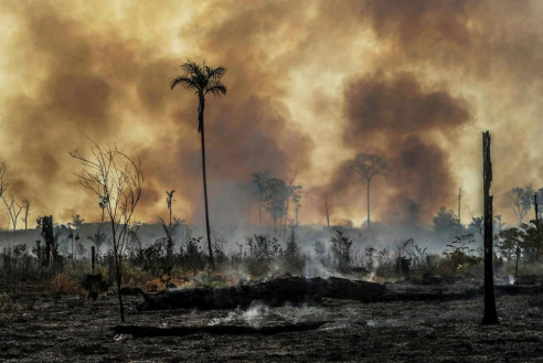 Human Rights Watch: Embestida de Bolsonaro expone a graves riesgos a la Amazonía y a quienes la defienden Latinoamérica