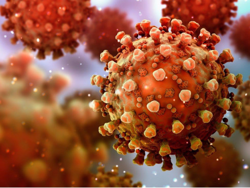 ¡Apareció una nueva cepa! Japón detectó nueva variante del Covid-19 proveniente de Brasil Covid 19 - Coronavirus