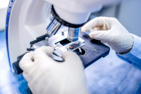 7 avances científicos en América Latina para luchar contra el COVID-19 Ciencia y Tecnología