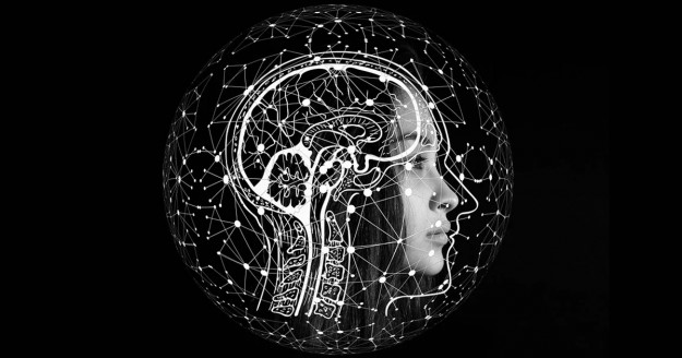 Desarrollan un sistema neuronal óptico capaz de manipular los recuerdos Ciencia y Tecnologí­a