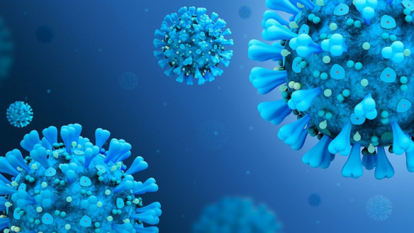Muestran cómo se ve la cepa Delta del COVID-19 a través de un microscopio Salud