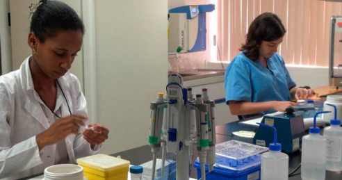 Cuba empezará fase 2 de ensayos clínicos en vacunas contra COVID-19 antes de fin de año Actualidad