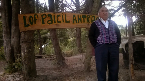 Comunidad mapuche Lof Paicil Antriao lucha contra el despojo de sus territorios Latinoamérica