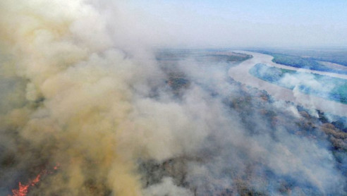 El Pantanal de Brasil está en peligro: Los incendios aumentaron 200 % en comparación con 2019 Brasil