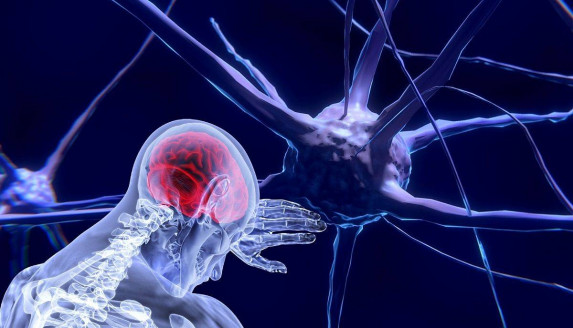 Detectan claves de la progresión del tumor cerebral más común y agresivo en adultos Actualidad
