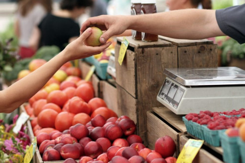Un 36% de los chilenos ha intentado disminuir el consumo de alimentos de origen animal Alimentación