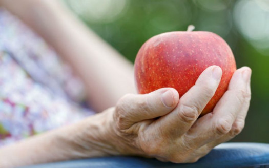 Envejecimiento saludable: Estudio identificará el patrón alimentario y perfil sociosanitario de personas mayores en todo el país Alimentación