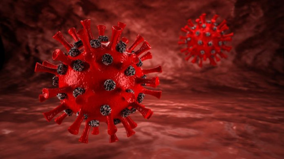Identifican anticuerpo del resfriado común que neutraliza varios coronavirus Salud