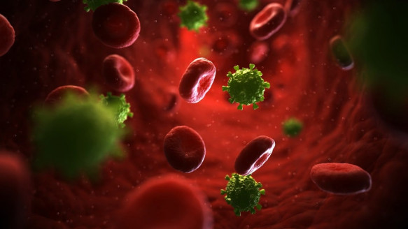 Investigadores avanzan un paso más hacia la comprensión del fenómeno de inmunidad al VIH Salud