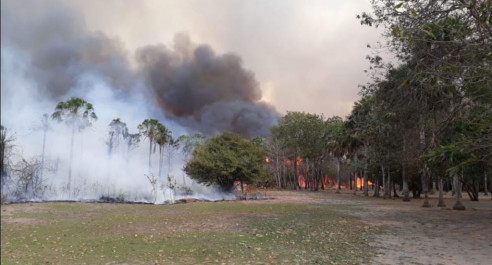 Controlado voraz incendio en pantanal paraguayo Latinoamérica