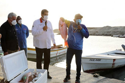 Venezuela produjo más de 85 mil toneladas de pescado y casi un millón de toneladas de alimentos en lo que va de año Venezuela