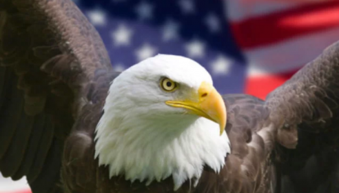 Estados Unidos persiste en que se viole Constitución de Bolivia Latinoamérica