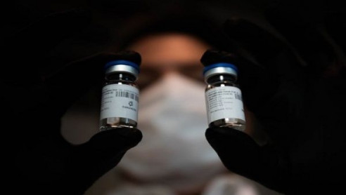 Argentina aprobó uso de suero equino hiperinmune para tratar el COVID-19 Latinoamérica