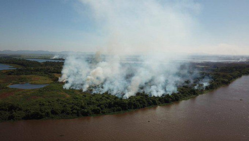 Detectan más de 1.600 focos de incendios en el Pantanal de Brasil, uno de los mayores humedales del planeta Latinoamérica