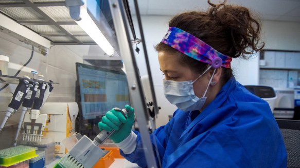 Nuevo estudio devela que el coronavirus puede persistir meses y en múltiples órganos, incluido el cerebro y el corazón Salud