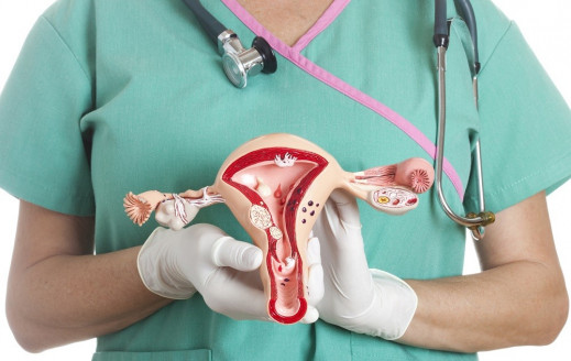 VPH y cáncer cervicouterino: La importancia de la vacuna y los controles periódicos Salud